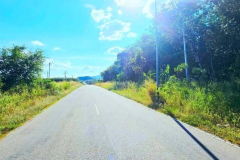 Земельный участок в Районге, Таиланд 38400м2  № 158028 - фото 3