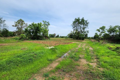 Terrain à Sisaket, Thaïlande 78400 m2 № 158027 - photo 5