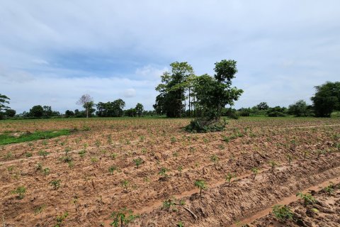 Terrain à Sisaket, Thaïlande 78400 m2 № 158027 - photo 4