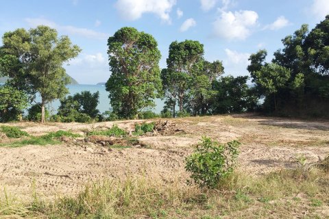 Terrain à Phuket, Thaïlande 15180 m2 № 160393 - photo 2