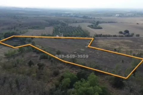 Земельный участок в Пхетчабуне, Таиланд 31660м2  № 160398 - фото 10