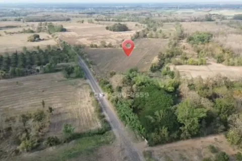 Земельный участок в Пхетчабуне, Таиланд 31660м2  № 160398 - фото 12