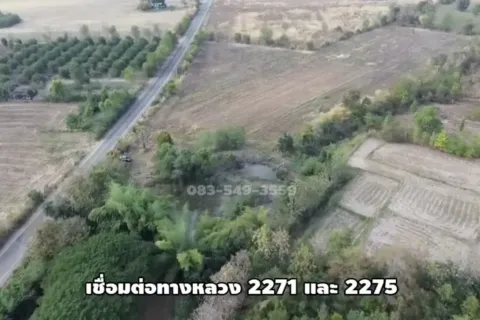 Земельный участок в Пхетчабуне, Таиланд 31660м2  № 160398 - фото 9