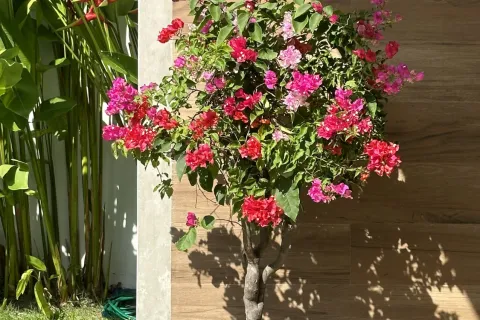 Villa in Phuket, Thailand 2 bedrooms № 160392 - photo 30