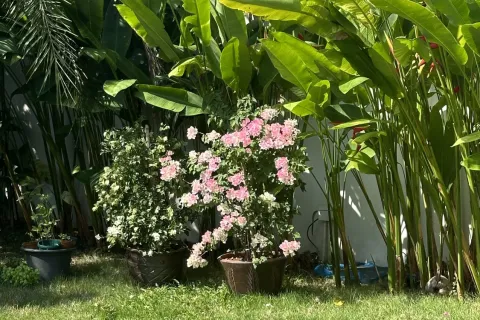 Villa in Phuket, Thailand 2 bedrooms № 160392 - photo 29