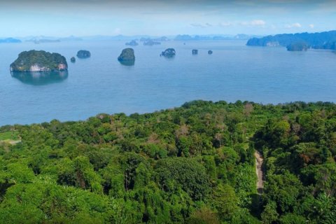 Terrain à Krabi, Thaïlande 14720 m2 № 180698 - photo 5