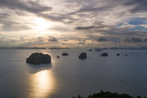 Terrain à Krabi, Thaïlande 14720 m2 № 180698 - photo 14