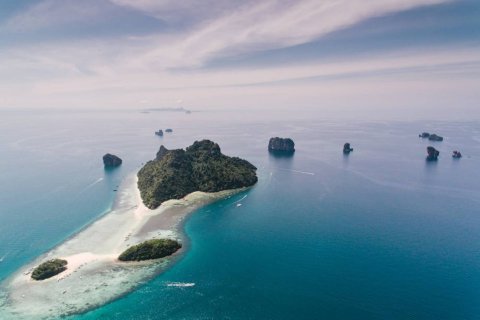 Terrain à Krabi, Thaïlande 14720 m2 № 180698 - photo 17