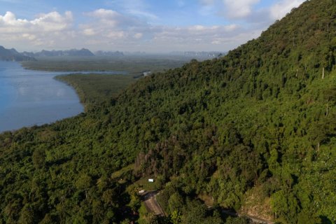 Terrain à Krabi, Thaïlande 14720 m2 № 180698 - photo 10