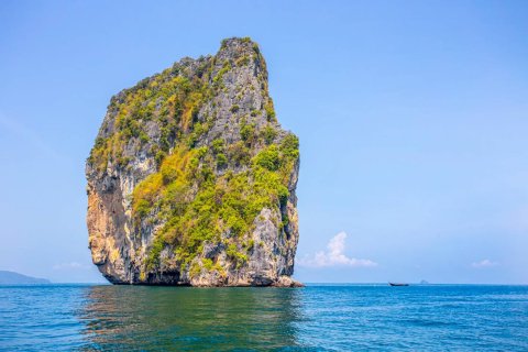 Terrain à Krabi, Thaïlande 14720 m2 № 180698 - photo 20