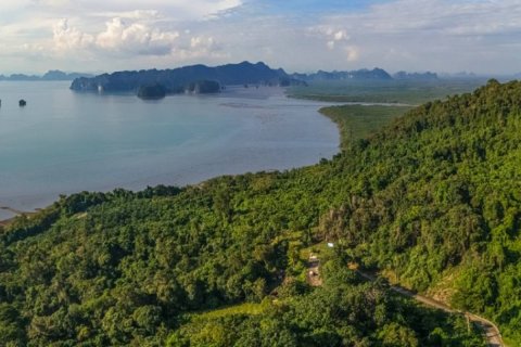 Terrain à Krabi, Thaïlande 14720 m2 № 180698 - photo 9