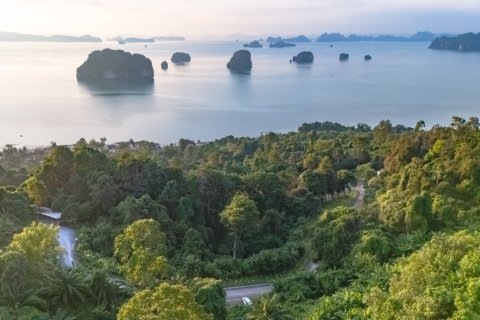 Terrain à Krabi, Thaïlande 14720 m2 № 180698 - photo 6
