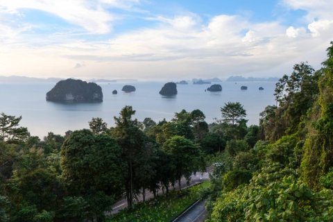 Terrain à Krabi, Thaïlande 14720 m2 № 180698 - photo 8