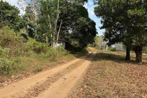 Land in Phang Nga, Thailand 9600 sq.m. № 153419 - photo 4