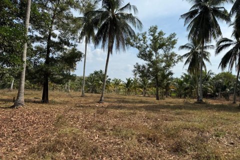 Land in Phang Nga, Thailand 9600 sq.m. № 153419 - photo 5