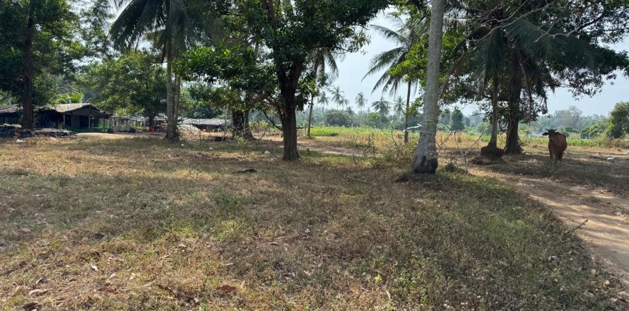 Land in Phang Nga, Thailand 9600 sq.m. № 153419