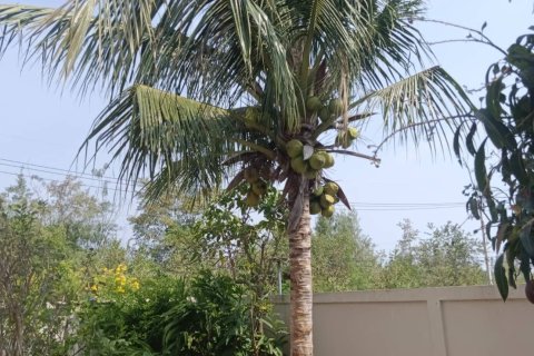 Maison à Hua Hin, Thaïlande 3 chambres № 153424 - photo 11