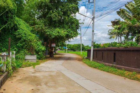 Land in Chiang Mai, Thailand № 133432 - photo 5