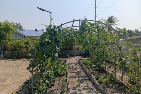 House in Hua Hin, Thailand 2 bedrooms № 163346 - photo 26