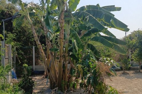 House in Hua Hin, Thailand 2 bedrooms № 163346 - photo 15