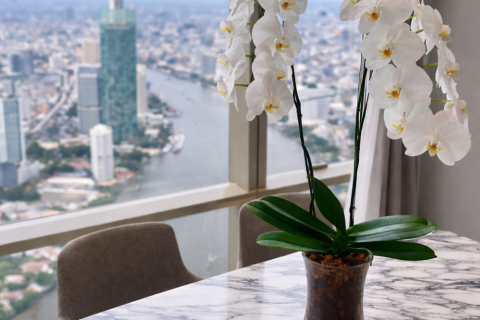 Condo in Sathon, Bangkok, Thailand, 2 bedrooms  № 158347 - photo 7