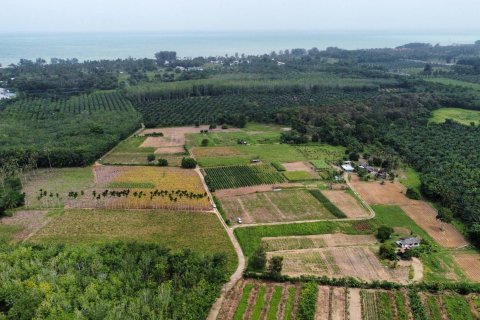 Terrain à Phang Nga, Thaïlande 132932 m2 № 142475 - photo 4