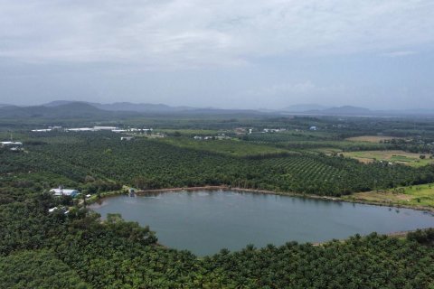 Terrain à Phang Nga, Thaïlande 132932 m2 № 142475 - photo 5