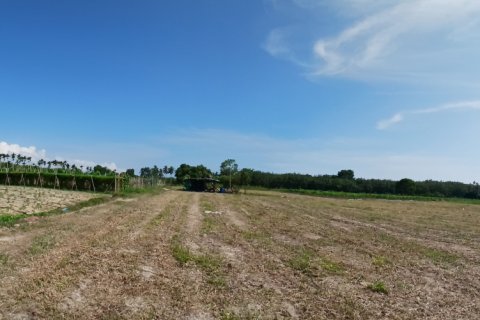 Terrain à Phang Nga, Thaïlande 132932 m2 № 142475 - photo 11