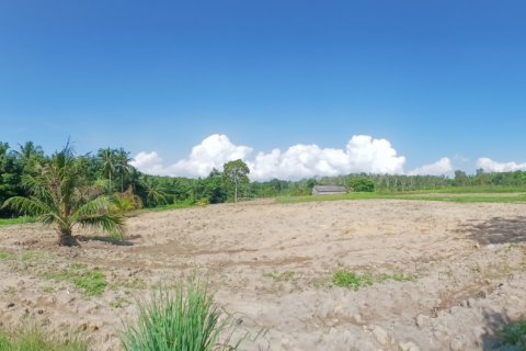 Terrain à Phang Nga, Thaïlande 132932 m2 № 142475 - photo 13