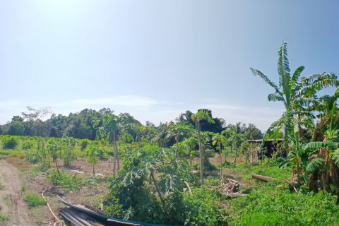 Terrain à Phang Nga, Thaïlande 132932 m2 № 142475 - photo 9