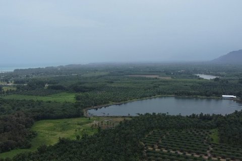 Terrain à Phang Nga, Thaïlande 132932 m2 № 142475 - photo 12