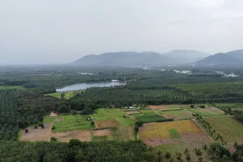 Terrain à Phang Nga, Thaïlande 132932 m2 № 142475