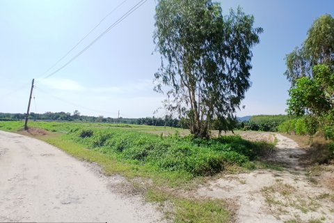 Terrain à Phang Nga, Thaïlande 132932 m2 № 142475 - photo 6