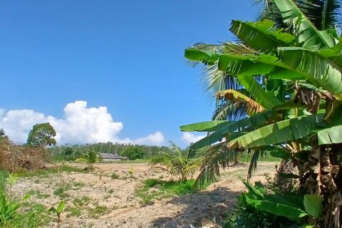 Terrain à Phang Nga, Thaïlande 132932 m2 № 142475 - photo 7