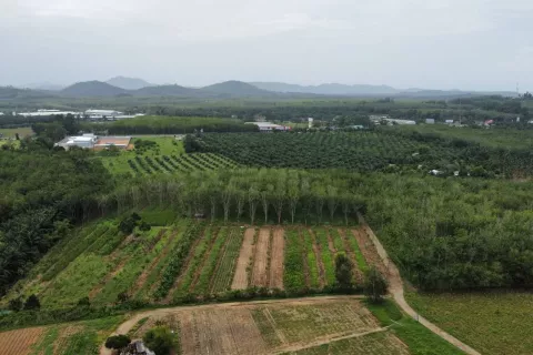 Terrain à Phang Nga, Thaïlande 132932 m2 № 142475 - photo 3