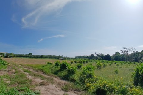 Terrain à Phang Nga, Thaïlande 132932 m2 № 142475 - photo 10