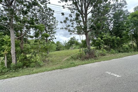 Terrain à Hua Hin, Thaïlande 4800 m2 № 142572 - photo 6