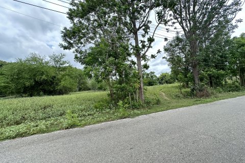 Terrain à Hua Hin, Thaïlande 4800 m2 № 142572 - photo 7