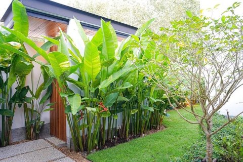 Villa à Phuket, Thaïlande 4 chambres № 158943 - photo 27