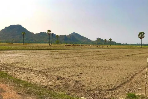 Land in Cha-am, Thailand 6400 sq.m. № 148964