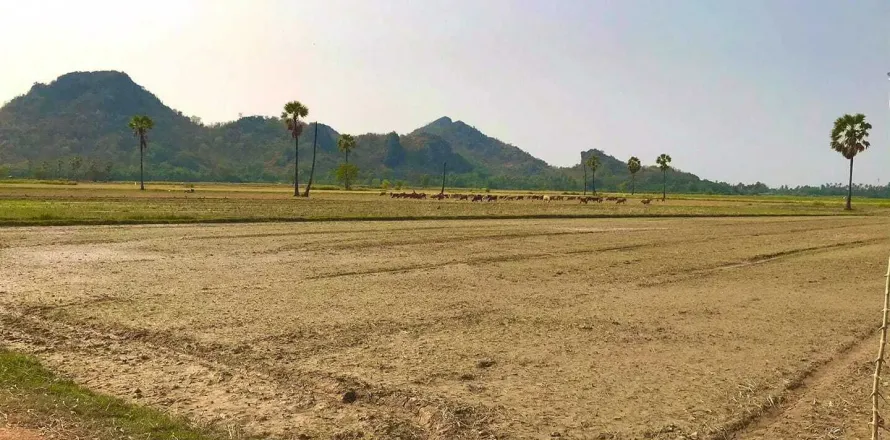 Land in Cha-am, Thailand 6400 sq.m. № 148964