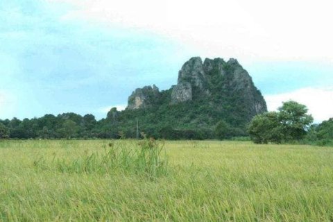 Land in Cha-am, Thailand 6400 sq.m. № 148964 - photo 2