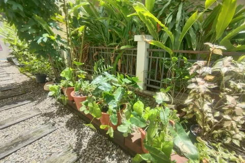 Duplex in Chiang Mai, Thailand 4 bedrooms № 171935 - photo 20