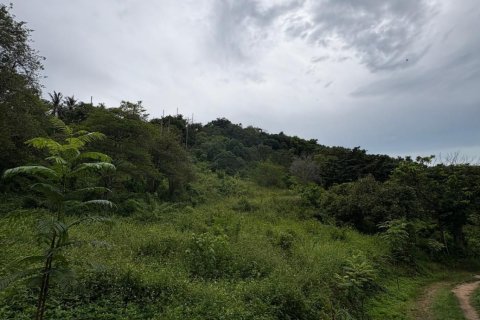 Land in Ko Samui, Thailand 24000 sq.m. № 140931 - photo 5