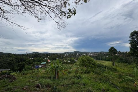 Land in Ko Samui, Thailand 24000 sq.m. № 140931 - photo 4