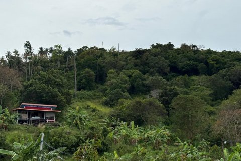 Land in Ko Samui, Thailand 24000 sq.m. № 140931 - photo 7