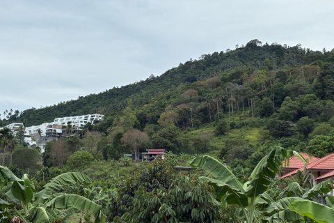 Land in Ko Samui, Thailand 24000 sq.m. № 140931 - photo 1
