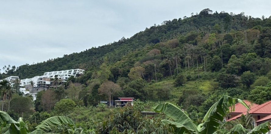 Land in Ko Samui, Thailand 24000 sq.m. № 140931