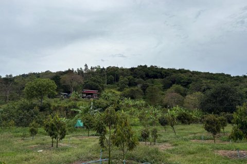 Land in Ko Samui, Thailand 24000 sq.m. № 140931 - photo 8