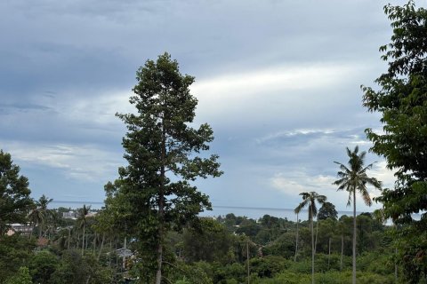 Land in Ko Samui, Thailand 24000 sq.m. № 140931 - photo 2